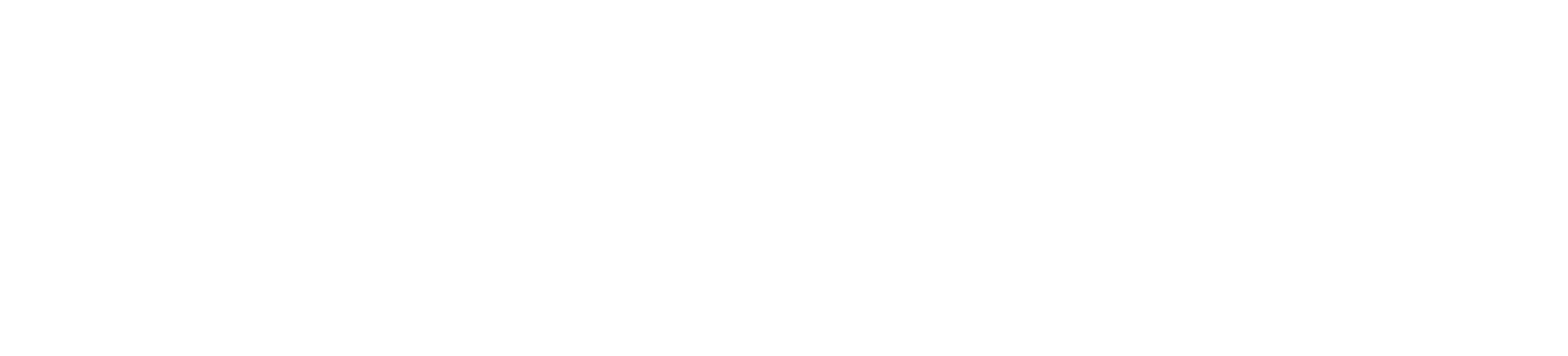 Stripe Payment Logo